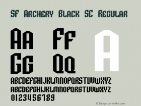 SF Archery Black SC Regular Version 2.1图片样张