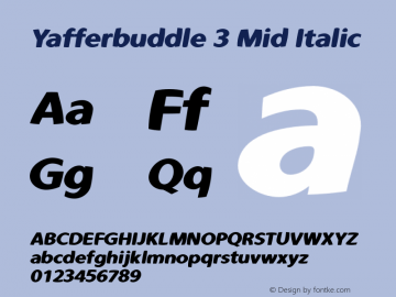 Yafferbuddle_Mid-Italic Version 1.000 2020 initial release图片样张