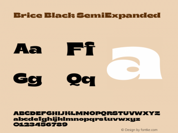 Brice Black SemiExpanded Version 1.000;hotconv 1.0.109;makeotfexe 2.5.65596图片样张