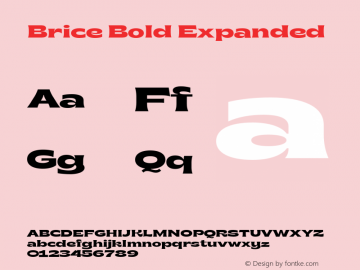 Brice Bold Expanded Version 1.000;hotconv 1.0.109;makeotfexe 2.5.65596 Font Sample