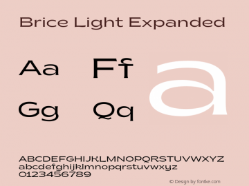 Brice Light Expanded Version 1.000;hotconv 1.0.109;makeotfexe 2.5.65596 Font Sample