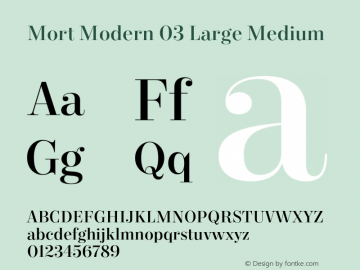Mort Modern 03 Large Medium Version 1.002;MortModern Font Sample
