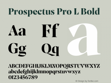 Prospectus Pro L Bold Version 1.300;ProspectusPro图片样张