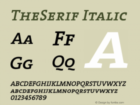 TheSerif Italic 1.0图片样张