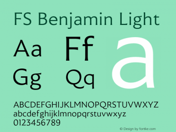 FS Benjamin Light Version 1.02;PS 001.001;hotconv 1.0.88;makeotf.lib2.5.64775图片样张