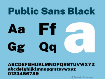 Public Sans Black Version 1.007 Font Sample