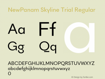 NewPanam Skyline Trial Version 2.500图片样张