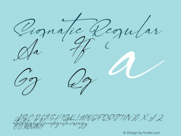 Signatie Version 1.00;February 20, 2020;FontCreator 12.0.0.2547 64-bit图片样张