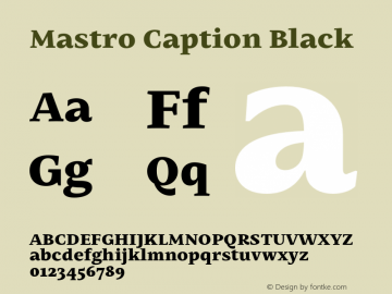 Mastro Caption Black Version 1.000;hotconv 1.0.109;makeotfexe 2.5.65596图片样张