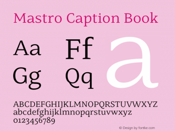 Mastro Caption Book Version 1.000;hotconv 1.0.109;makeotfexe 2.5.65596图片样张