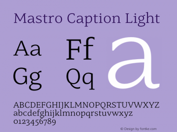 Mastro Caption Light Version 1.000;hotconv 1.0.109;makeotfexe 2.5.65596图片样张