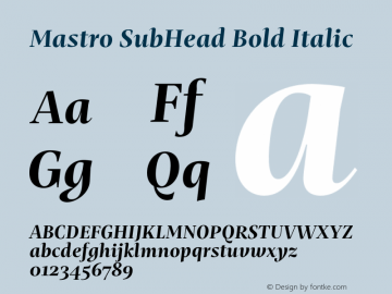 Mastro SubHead Bold Italic Version 1.000;hotconv 1.0.109;makeotfexe 2.5.65596图片样张