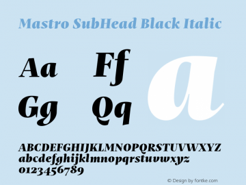 Mastro SubHead Black Italic Version 1.000;hotconv 1.0.109;makeotfexe 2.5.65596图片样张