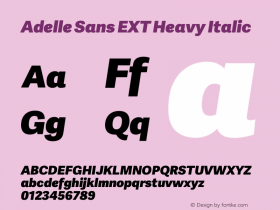 Adelle Sans EXT Heavy Italic Version 2.000;hotconv 1.0.109;makeotfexe 2.5.65596图片样张