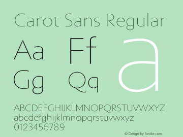 Carot Sans Thin Version 1.000图片样张