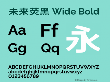 未来荧黑 Wide Bold  Font Sample