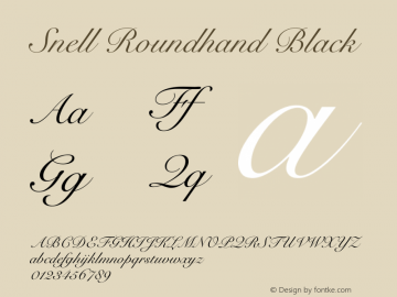 Snell Roundhand Black 15.0d1e1图片样张