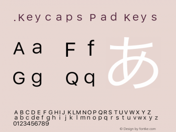 .Keycaps Pad Keys 17.0d3e13图片样张