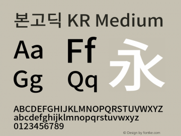 본고딕 KR Medium 图片样张