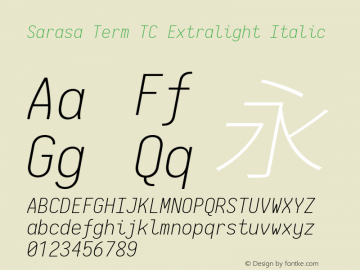 Sarasa Term TC Extralight Italic 图片样张