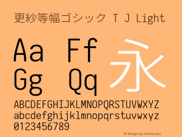 更紗等幅ゴシック T J Light 图片样张