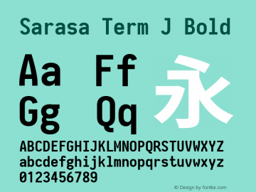 Sarasa Term J Bold 图片样张