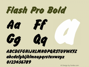 FlashPro-Bold Version 1.00 Font Sample