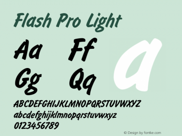 FlashPro-Light Version 1.00图片样张