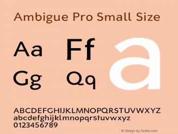 AmbiguePro-SmallSize Version 1.00图片样张