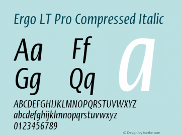 ErgoLTPro-CompressedItalic Version 1.000;PS 001.000;hotconv 1.0.38 Font Sample