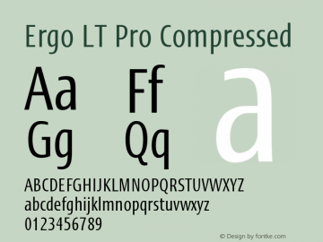 ErgoLTPro-Compressed Version 1.000;PS 001.000;hotconv 1.0.38图片样张