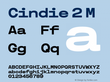Cindie2-M Version 1.000图片样张