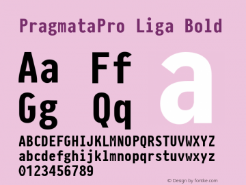 PragmataPro Liga Bold Version 0.828图片样张