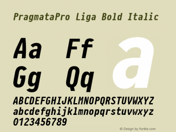 PragmataPro Liga Bold Italic Version 0.828图片样张