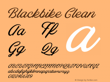 Blackbike Clean Version 1.000;PS 001.000;hotconv 1.0.88;makeotf.lib2.5.64775 Font Sample