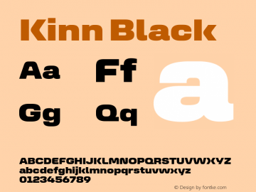 Kinn Black Version 1.00 Build 0718图片样张