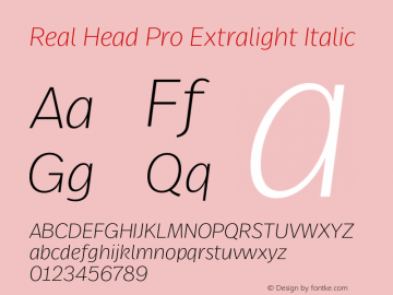 Real Head Pro Extralight Italic Version 7.601, build 13, g2.5.2.1165, s3图片样张