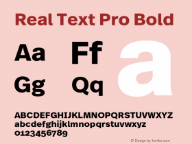 Real Text Pro Bold Version 7.601, build 13, g2.5.2.1165, s3图片样张