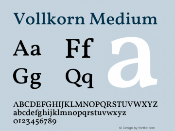 Vollkorn Medium Version 4.105;PS 004.105;hotconv 1.0.88;makeotf.lib2.5.64775 Font Sample