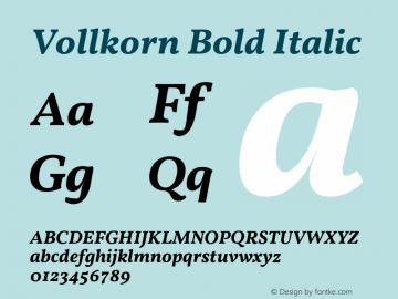 Vollkorn Bold Italic Version 4.105;PS 004.105;hotconv 1.0.88;makeotf.lib2.5.64775 Font Sample