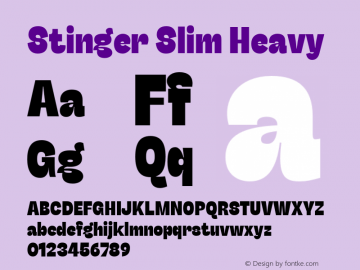 StingerSlim-Heavy Version 1.006;hotconv 1.0.109;makeotfexe 2.5.65596 Font Sample