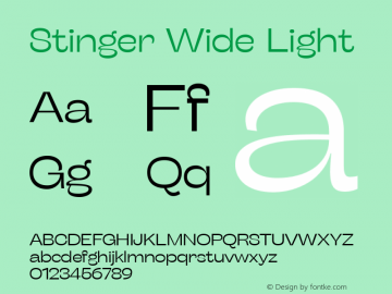 Stinger Wide Light Version 1.006;hotconv 1.0.109;makeotfexe 2.5.65596 Font Sample