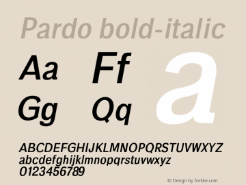 Pardo bold-italic 0.1.0图片样张