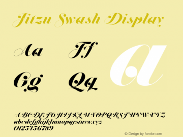 Jitzu Swash Display Version 1.000图片样张