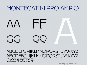 Montecatini Pro Ampio Version 1.020;PS 001.020;hotconv 1.0.88;makeotf.lib2.5.64775图片样张