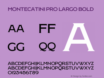 Montecatini Pro Largo Bold Version 1.020;PS 001.020;hotconv 1.0.88;makeotf.lib2.5.64775图片样张