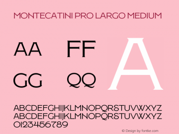 Montecatini Pro Largo Medium Version 1.020;PS 001.020;hotconv 1.0.88;makeotf.lib2.5.64775 Font Sample