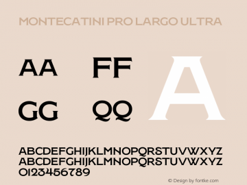 Montecatini Pro Largo Ultra Version 1.020;PS 001.020;hotconv 1.0.88;makeotf.lib2.5.64775 Font Sample