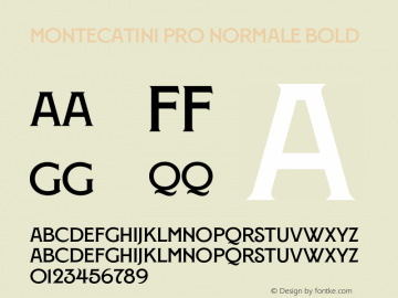 Montecatini Pro Normale Bold Version 1.020;PS 001.020;hotconv 1.0.88;makeotf.lib2.5.64775图片样张