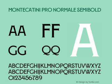 Montecatini Pro Normale Semibold Version 1.020;PS 001.020;hotconv 1.0.88;makeotf.lib2.5.64775图片样张